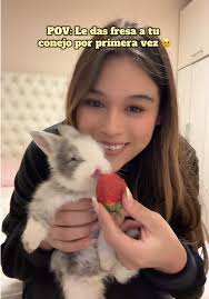 Un Conejito Comiendo Fresa