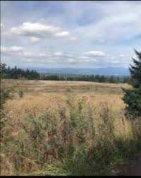 The new visitor center is now open for public use wednesdays through sundays from 9 a.m. Neighborhood Spotlight Powell Butte Nature Park Living Room Realty