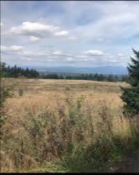 If you don't want to explore and possibly lose where you are, you should either get a map or take a picture at any of the trail heads. Neighborhood Spotlight Powell Butte Nature Park Living Room Realty