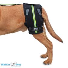 The stability and support offered by the duvet help reduce inflammation and there are lots of braces which can found in the market. Dog Hip Support Harness Hip Brace For Dogs Walkin Pets