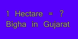 1 Hectare Bigha In Gujarat Simple Converter