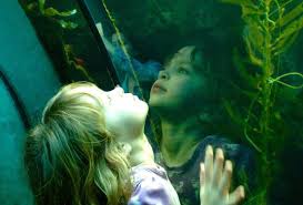 Check spelling or type a new query. Ten Things My Preschooler Loves At The California Science Center Mommypoppins Things To Do In Los Angeles With Kids