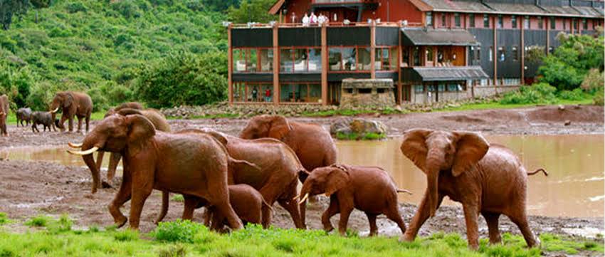 6 Days Kenyan Northern Circuit Safari Gallery