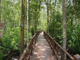 Taman negara johor tanjung piai. Elevated Walkways At Tanjung Piai National Park Taman Negara Tanjung Piai Malaysia A Photo On Flickriver