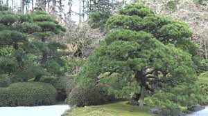 Portland Japanese Garden Discount 07 2021