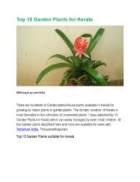 Find here details of companies selling indoor plants, for your purchase requirements. Top 15 Garden Plants For Kerala By Ramabhadran Sreedharan Issuu