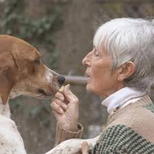 We are very saddened to learn of the passing yesterday of Sue Whaley, of  Brandywine, Maryland, who was well known in the dog world and was a friend  and mentor to many.
