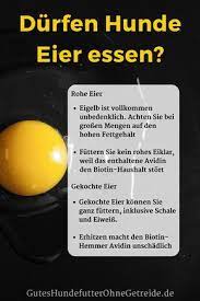 pin auf hund