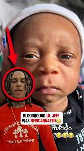 Bloodhound Lip Jeff Restarted