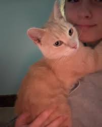 Let's welcome our new members! Crystal M Raner, Leah Still Schonfeld, Terry  Bowers, Yolene Taylor, Jane DeBlasio, Rebekah Betsill Twilley, Crystal  Graham, Loriann Malpass, Ferrets Kits Baby, Jade Harvey