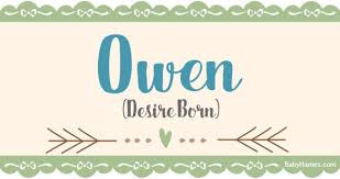 All About The Name Owen Meaning Origin And Popularity Of Owen What Does Owen Mean Click For M Names With Meaning Baby Names And Meanings Unisex Baby Names