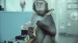 Don't let the walls cave in on you. Basement Jaxx Where S Your Head At Coub The Biggest Video Meme Platform