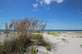 Image result for Sandy Beach 2013 Captiva