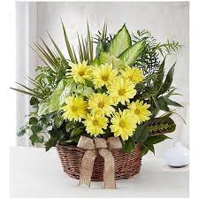 Fresh cut flowers near me. Dish Garden With Fresh Cut Flowers For Sympathy Dallas Nc