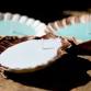 June Adult Craft: Seashell Candles