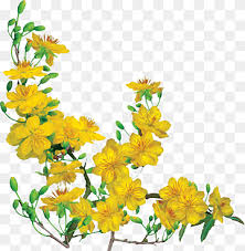 Large flower arrangements large flowers yellow flowers exotic flowers silk flowers lighted centerpieces tall wedding centerpieces centerpiece chinese new year 101: New Year Tree Drawing Ochna Integerrima Lunar New Year Bucket Inc Branch Yellow Flower Plant Ochna Integerrima Drawing Lunar New Year Png Pngwing