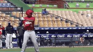 All professional baseball statistics for wander franco. Wander Franco The Dynasty Guru