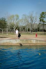 Millie died of pneumonia in 1997 at age 12 at the bush compound in kennebunkport, maine. Best Dog Park Congressman Bill Archer Bark Park Sports And Recreation Best Of Houston Houston Press