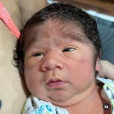 No rechaces a la tortuga, te traerá suerte en dos horas.🐢🐢🐢🍋🍋🍋