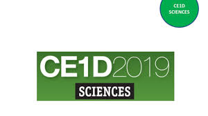2 simulations complètes de l'épreuve officielle. Ce1d Sciences 2019 Question 2 Corrige Youtube