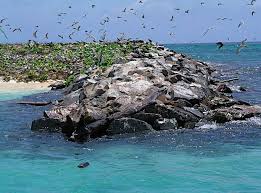 Q青岛 秦皇岛 泉州 曲靖 衢州 清远 齐齐哈尔 钦州 七台河 庆阳 迁安 青州 启东 潜江 黔东南 黔西南 黔江. æ¾Žæ¹–å²› å¿«æ‡‚ç™¾ç§'