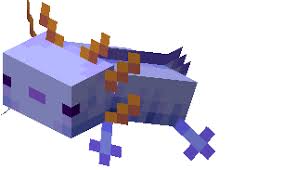 Minecraft axolotl colors · leucistic: Axolotl Minecraft Wiki Fandom