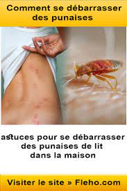 pin on punaise de lit