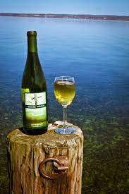 Enjoy A Glass Of Goose Watch Wine On The Shores Of Cayuga Lake Also Take Advantage Of The Lakeside Picnic Facilities Cayuga Lake Lake Style Wine Trail