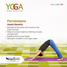 Yoga And Health Yoga Facts Easy Yoga Workouts Learn Yoga Poses