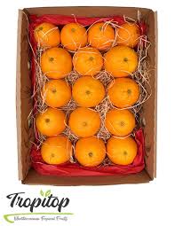 We did not find results for: Comprar Naranjas Online Naranjas Valencianas