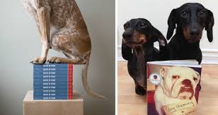 The Ultimate List Of Coffee Table Books For Dog Lovers Everywhere Dog Lovers Coffee Table Books Dogs
