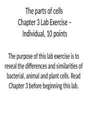 Check spelling or type a new query. Nucleus Cell Wall Vacuole Part 2 Answer The Following Questions On The Course Hero