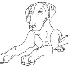 >> pj masks para imprimir e colorir! Desenhos De Cachorros Para Imprimir E Colorir