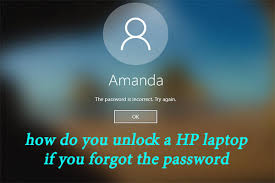 This link takes you to the vendor's site, w. Top 6 Methods To Unlock Hp Laptop If Forgot The Password 2021