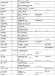 Image result for Xysmalobium heudelotianum