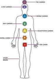 Cakralar Aura Colors Yoga For Kids Reiki