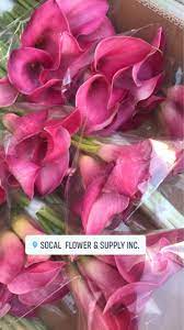 We offer the most beautiful, exotic flowers with a special scent & provide same day flower delivery services in van nuys. Socal Flower Supply Inc Home Facebook