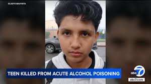 Angelina Gray, Harbor City mother of 7, nominated for ABC7's 'Pay It  Forward' contest