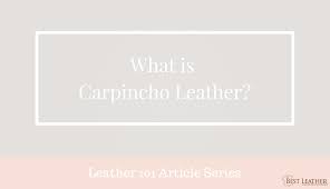 We did not find results for: What Is Carpincho Leather Bestleather Org