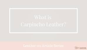 January 19, 2019 january 19, 2019 / news. What Is Carpincho Leather Bestleather Org