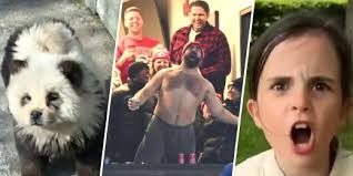 Teacher and student show off epic handshake in viral video