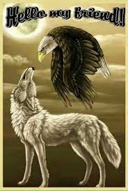 It will keep its untamed tendencies, like its aggressiveness and aloofness. Wolf Quotes Photos Facebook