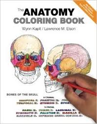 Maybe you would like to learn more about one of these? The Anatomy Coloring Book Amazon Com Books