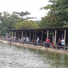 Saya kongsikan tempat yang popular untuk memancing di sekitar klang, selangor. Kolam Mancing Harmony Puchong Home Facebook