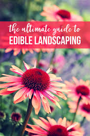 The Ultimate Guide To Edible Landscaping Must Read Edible Landscaping Ideas Edible Landscaping Gardening For Beginners Edible Garden