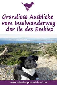 Grandiose Ausblicke Vom Inselwanderweg Der Ile Des Embiez Urlaub Mit Hund Urlaub Und Ausflug