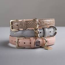 Pin On Maison Le Lou The Luxury Dog Store