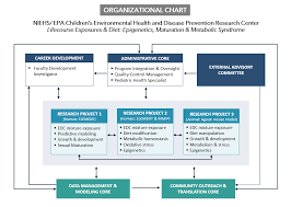 Organization Childrens Environmental Health Center