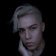 Albert Van Deyk: album, låtar, konserter