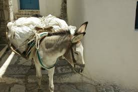 Horse carrying bags of sack photo